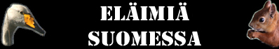El�imi� Suomi