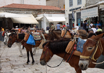 Hydralainen taksiasema